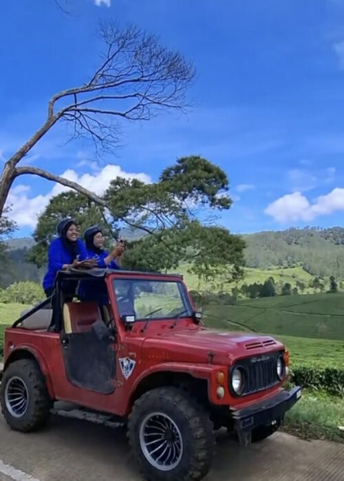 Galeri Offroad Jimny 2 Galeri Offroad Jimny 2
