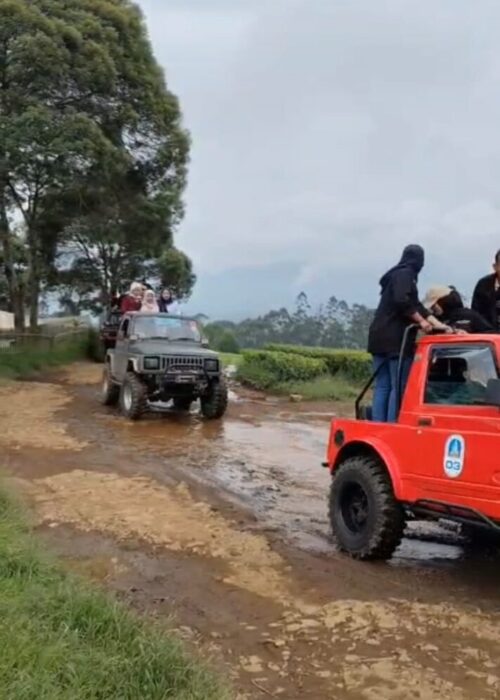 Galeri Offroad Jimny 5 Galeri Offroad Jimny 5